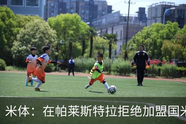米体：在帕莱斯特拉拒绝加盟国米后，球队将目光转向小将哈莱利