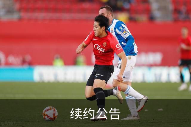 续约公告
